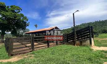 Imagem 7: Fazenda 221 alqueires (1.069 hectares) Uruaçu - GO