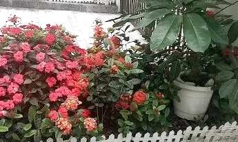 Imagem 7: Apartamento em Rua Dona Vitória Yunes Stefano - Enseada - Guarujá/SP