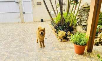 Imagem 3: Oportunidade de casa térrea muito próxima ao comércio do Alvinópolis!