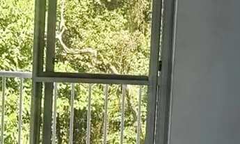 Imagem 5: Imóvel para venda com 49 metros quadrados com 2 quartos em Itaipava - Itajaí - SC