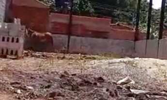 Imagem: Vendi se dois lotes no parque Alvorada