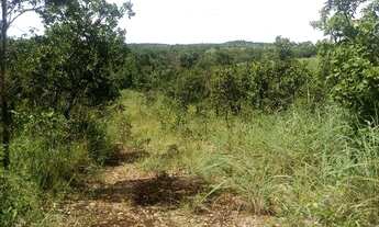 Imagem 6: Chácara Condominio Mirela 2