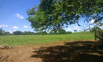 Imagem 4: Sítio em Castilho com 3 alqueires