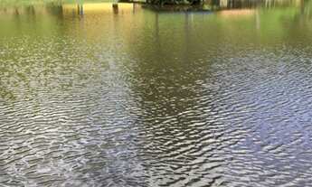 Imagem 6: Vende uma fazenda de 5 alqueires em Paraibuna