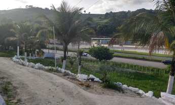 Imagem 3: Granja em bonança