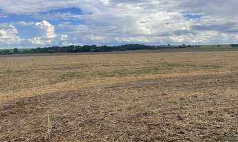 Imagem 5: Fazenda/Sítio/Chácara para venda 8,5 alq beira do asfalto