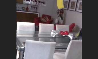 Imagem 6: Apto vista espetacular, com 151 m2, 4 suítes, andar alto, Dionisio Torres - Fortaleza - Ce