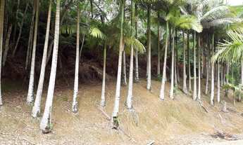 Imagem 5: SITIO RESIDENCIAL em JARAGUÁ DO SUL - SC, TRÊS RIOS DO NORTE