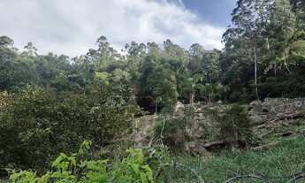 Imagem 5: Terreno em Condomínio, Trindade, Florianópolis, Sc