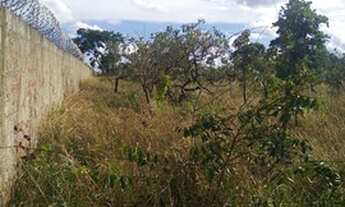 Imagem 2: Vendo Chácara em Padre Lúcio. - Padre Bernardo - Goiás