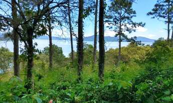 Imagem 4: Terreno residencial à venda, Sambaqui, Florianópolis