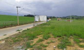 Imagem 5: BORDA DA MATA - Terreno Padrão - Santa Terezinha
