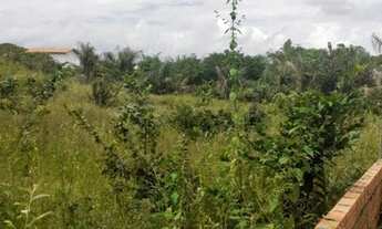 Imagem 2: Terreno Marudá (Localidade Recreio