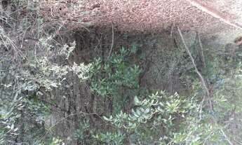 Imagem: Nova Lima - Loteamento/Condomínio - Pasárgada