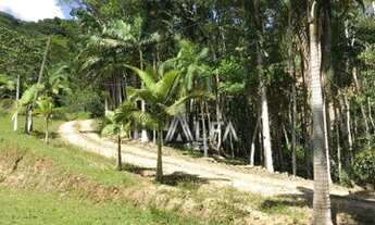 Imagem 3: Sítio à venda, 22000 m² por R$ 790.000,00 - Minas - Ilhota/SC