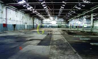 Imagem 5: Galpão/Depósito/Armazém