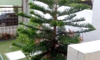 Imagem 3: Agradável apartamento na Encruzilhada