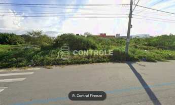 Imagem 2: PALHOçA - Terreno Padrão - Pachecos