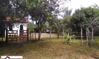 Imagem 6: SITIOMata de São João