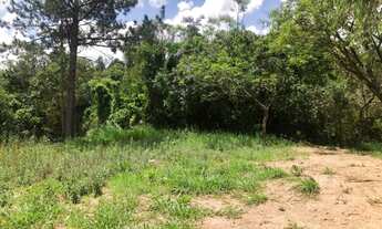 Imagem: Vendo terreno com um ótimo valor e topografia