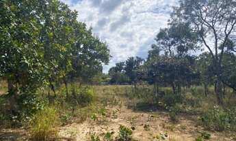 Imagem 7: Sitio 4.000m², com casa,totalmente plano, poço artesiano, Jaboticatubas