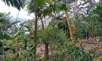 Imagem 6: Oportunidade: Terreno privilegiado (3000m²) + Casa no Ribeirão com vista mar, a 2 min da p