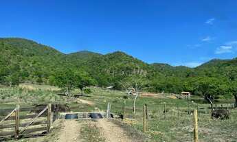 Imagem: Fazenda para venda possui 59 alq. Munícipio