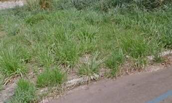 Imagem 7: Lote/Terreno para venda 426 m jardim dos Buritis jardim primavera vila Maria vila boa