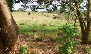 Imagem: Chácara para venda tem 1600 metros quadrados