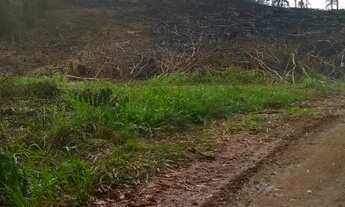 Imagem 7: Chácara Almirante Tamandaré 41000m² 16Km Curitiba-Abranches, 2km asfalto