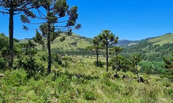 Imagem 4: Terreno/Fazenda/Lote/Francisco Krtiscka Corretor de imóveis