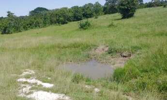 Imagem 7: Fazenda - Itapirapuã (GO