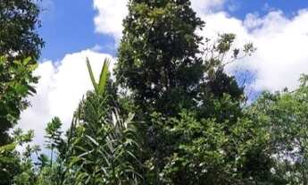 Imagem 5: TERRENO RESIDENCIAL em CAMAÇARI - BA, AREMBEPE (ABRANTES