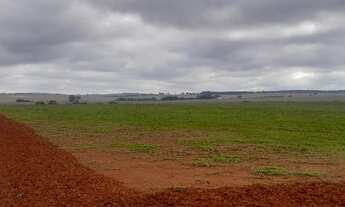 Imagem 4: Fazenda Município Ipameri - GO