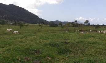 Imagem 6: Terreno de 9,5 HE em Tijucas - SC