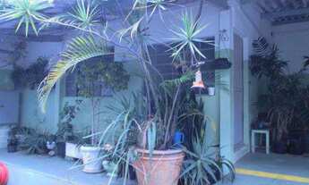 Imagem 3: Galpão, Mooca, São Paulo - R$ 1.5 mi, Cod: 4553