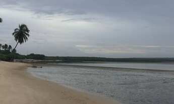 Imagem 16: Venha se apaixonar pelas belezas naturais de Barra de Mamanguape/PB!!