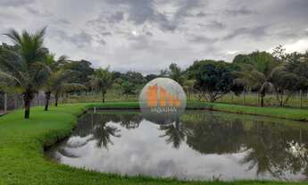 Imagem: Chácara à venda, 60.000 m² - Trindade/GO