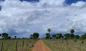 Imagem: Fazenda a venda com 154 alqueires em Nova
