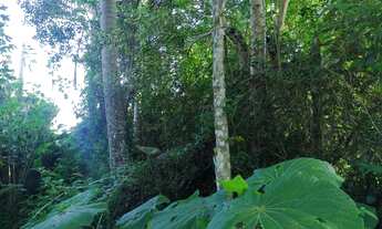 Imagem 6: Micro chacrinha 350 mts 47 mil reais 1,5 km centro