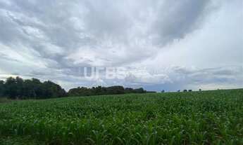 Imagem 2: Fazenda/Sítio/Chácara para venda tem 288000 metros quadrados