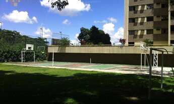 Imagem 3: Ligue:(81)9.9161.5269 whatsapp