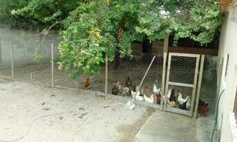 Imagem 5: CHACARA RESIDENCIAL em camaçari - BA, Abrantes