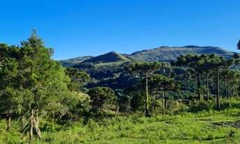 Imagem 2: Terreno/Fazenda/Lote/Francisco Krtiscka Corretor de imóveis
