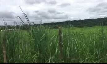 Imagem 2: Terreno - Samambaia Campus