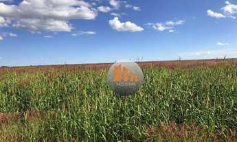 Imagem 5: Fazenda à venda, 405 alqueires por R$ 81.000.000 - Ipameri/GO