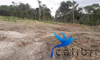 Imagem 6: Chácara para plantio ou reflorestamento em Agudos do Sul