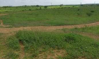 Imagem 1: FAZENDA IDEAL PARA CAPTAÇÃO DE ENERGIA SOLAR