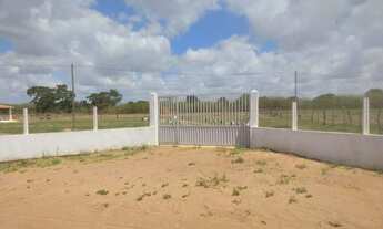 Imagem 6: Granja com 4.7 hectares entre Macaíba e vera cruz