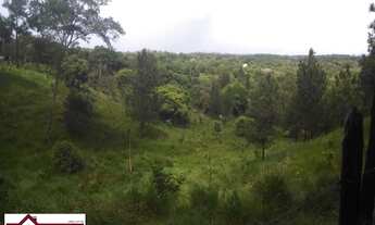 Imagem: SITIOMata de São João